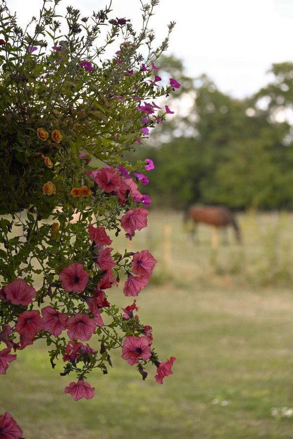 Sweet Pea Cabin Badsey Exterior foto